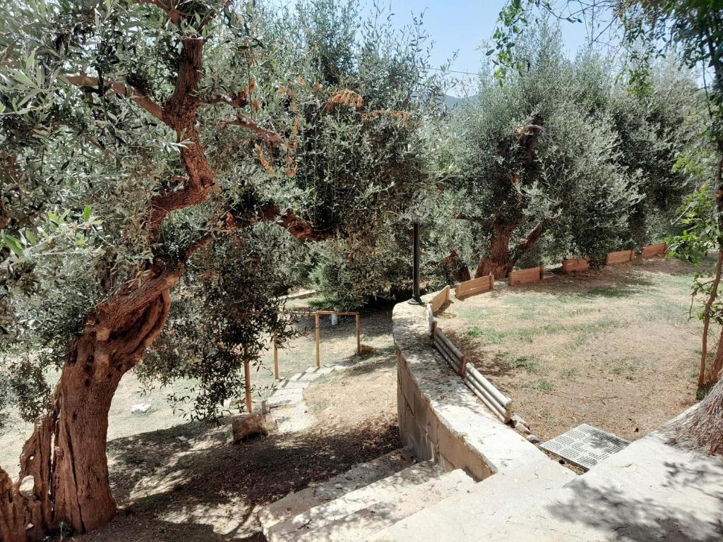 I Gufetti photo 2