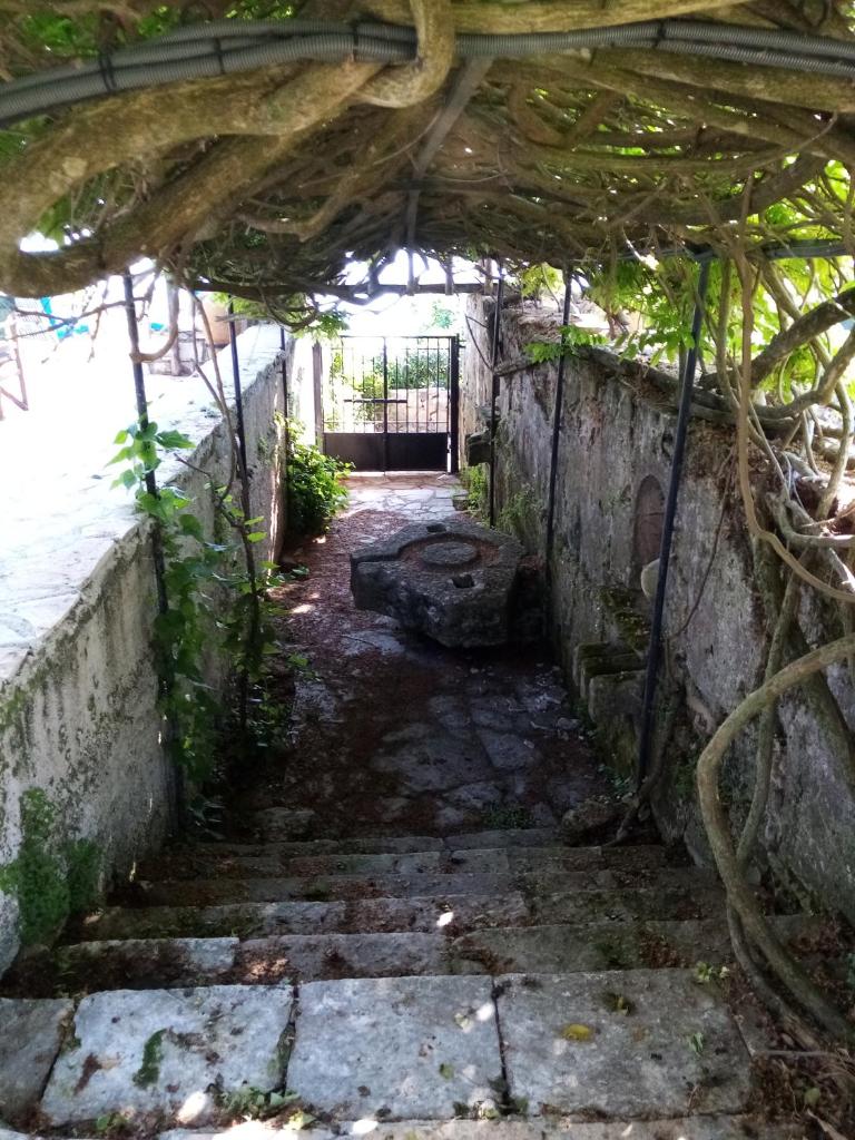 Donkey bay Villa photo 4