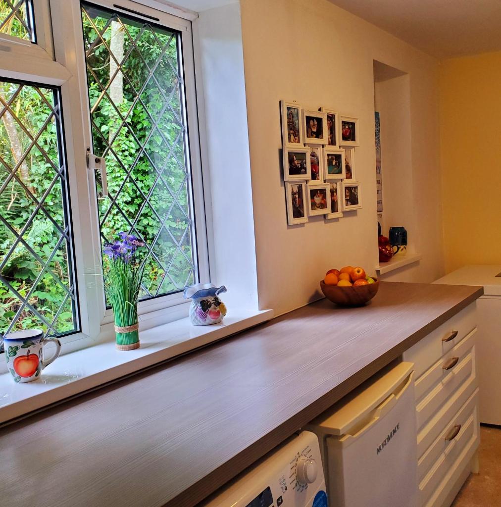 Cottage on The Bog with Secret Fairy Circle photo 4