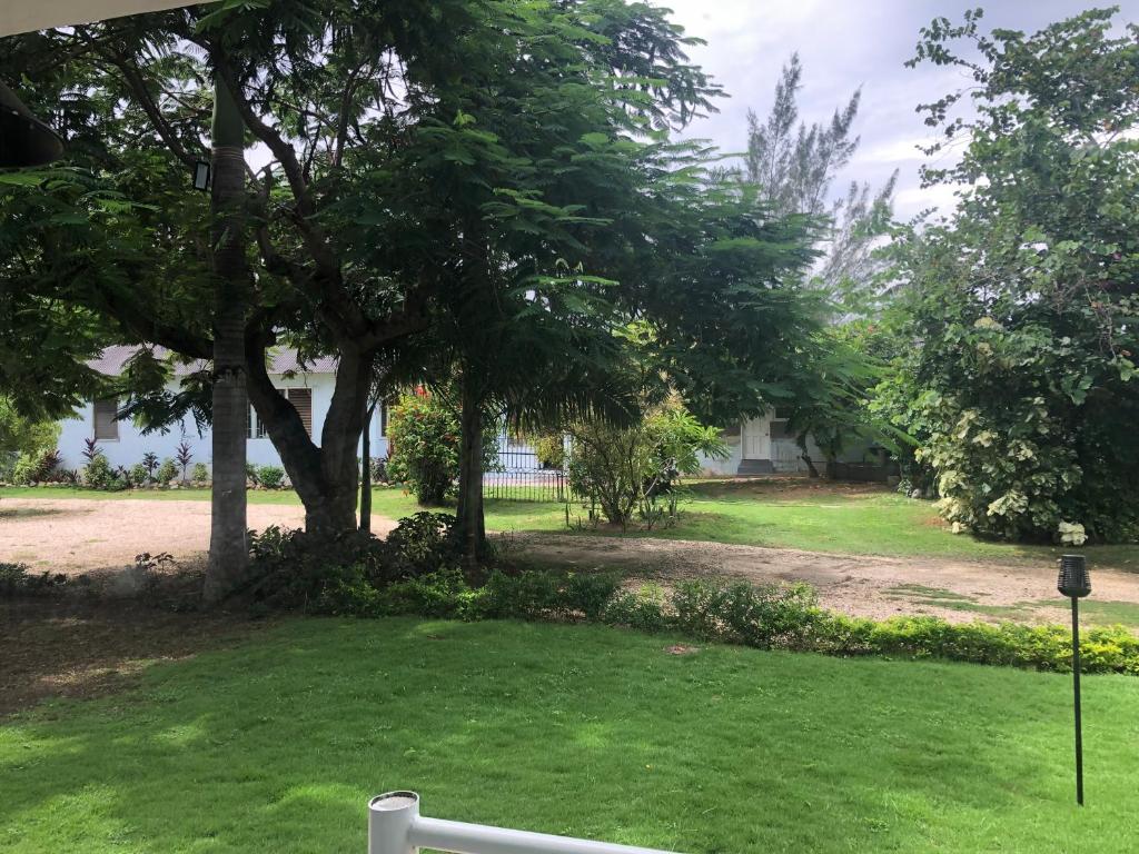 Airport Beach Hotel photo 2