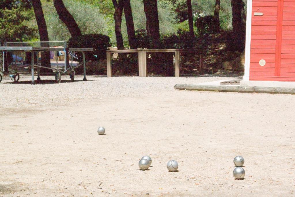 Domaine du Paradis des Oiseaux photo 3