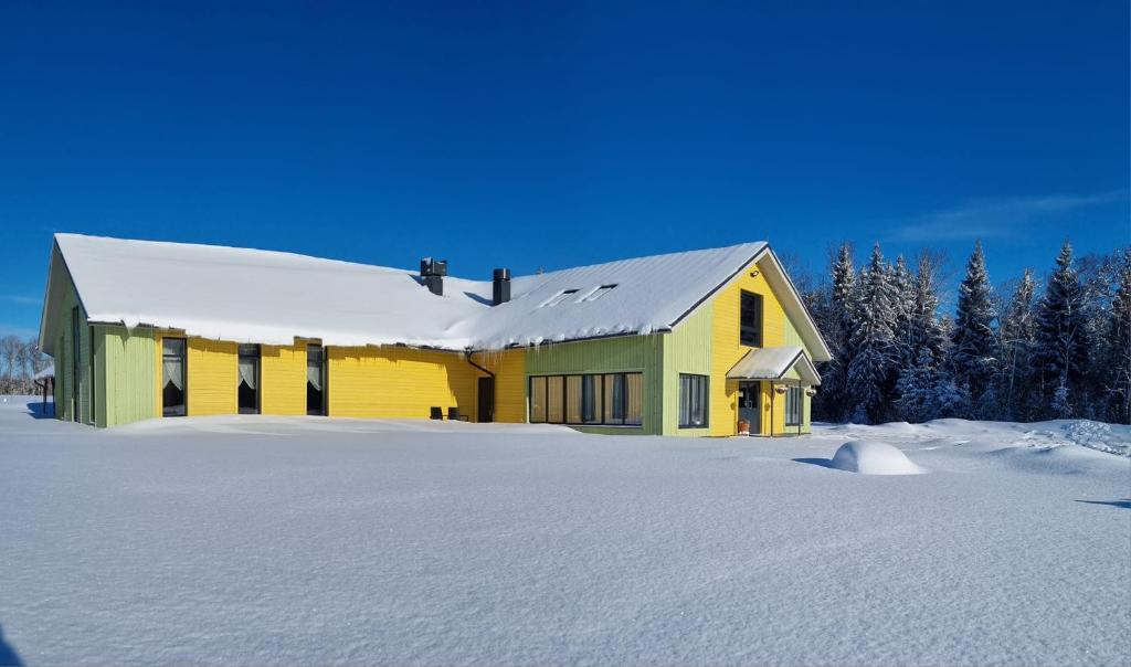Auksi motell photo 3