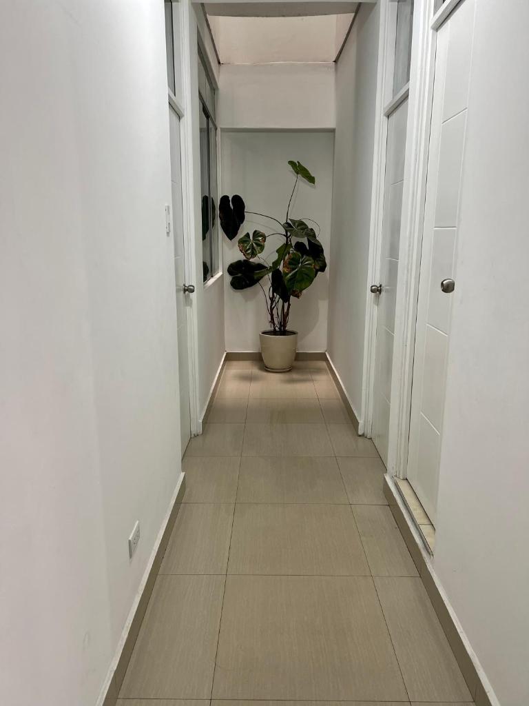 DEPARTAMENTO EN CIPRESES photo 4