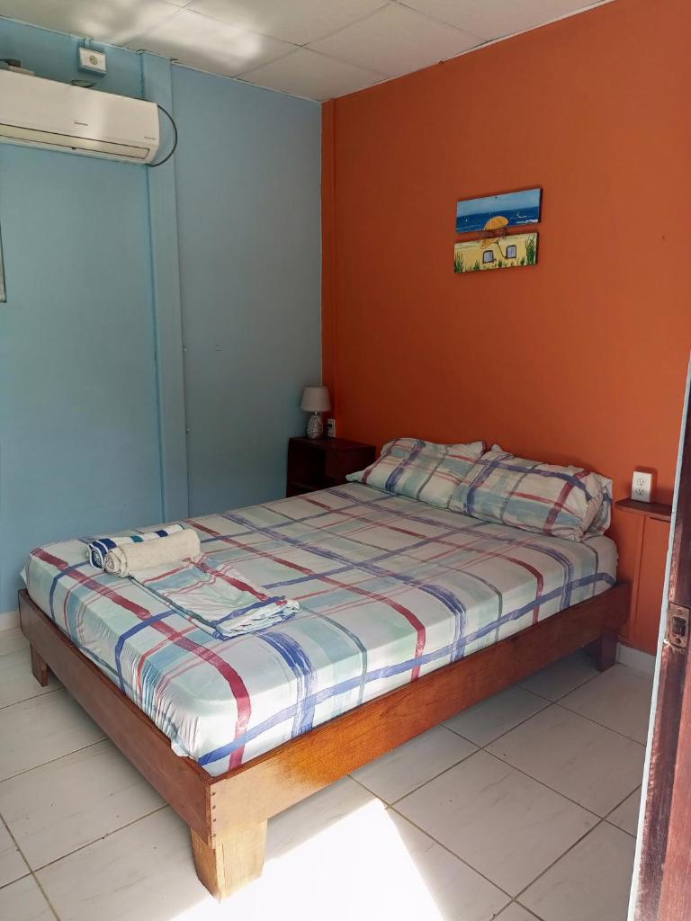 Surfari Bocas photo 4