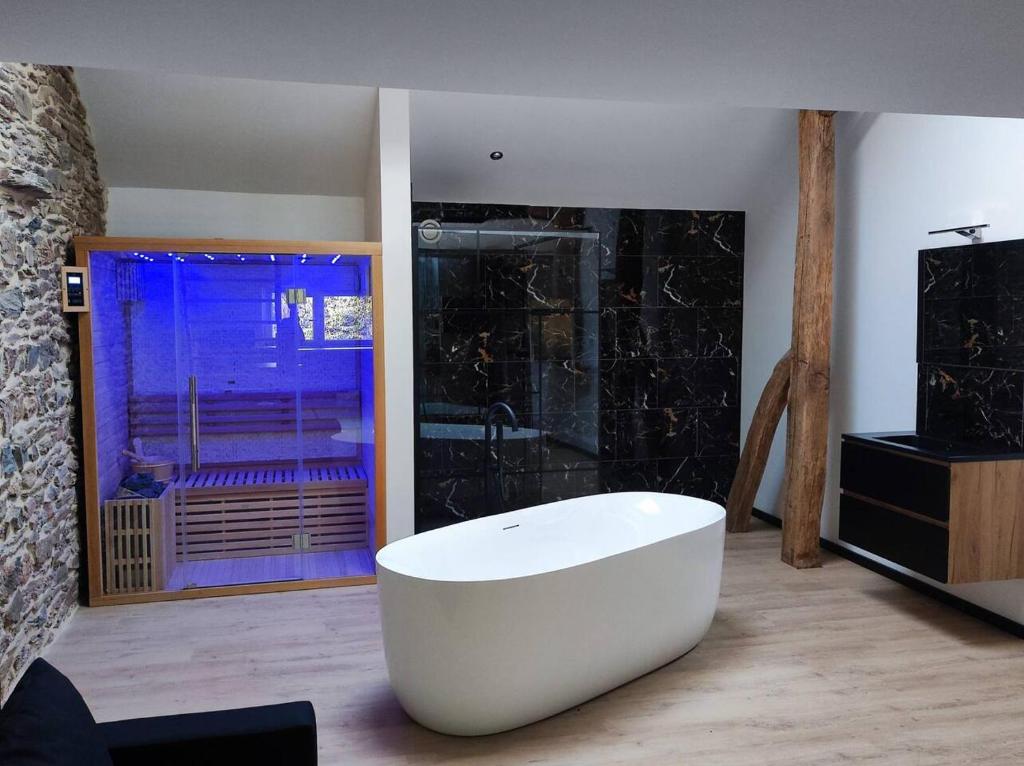 Loft noir (baignoire balnéo et sauna) photo 4
