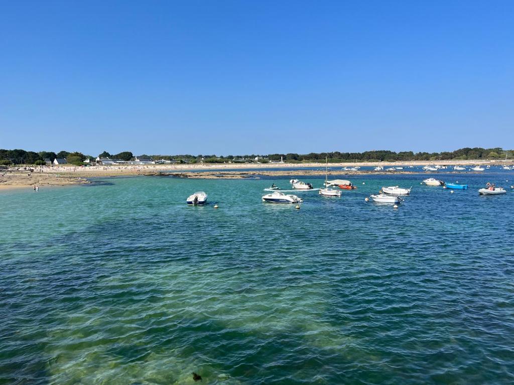 Rose des sables * front de mer* photo 4