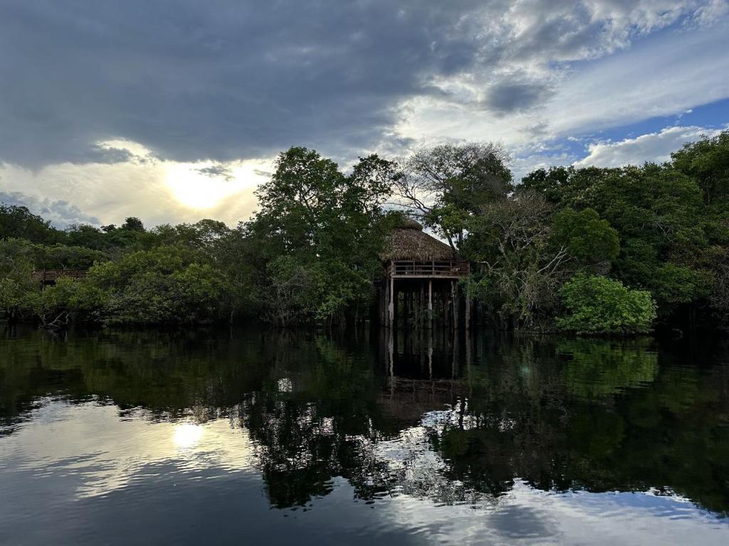 Juma Amazon Lodge photo 2