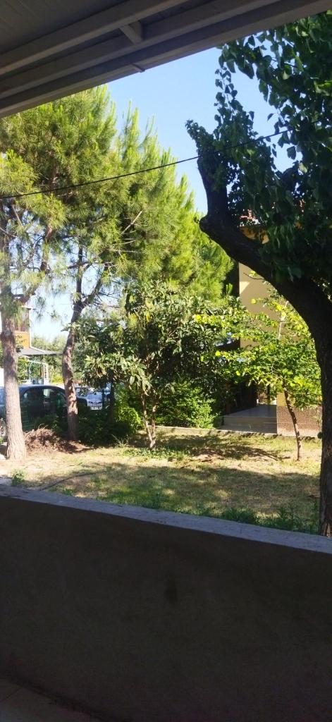 Arzu Villa photo 2