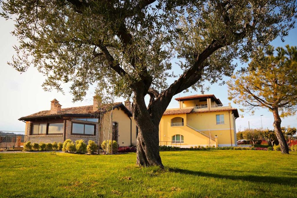 Agriturismo BioCore 2 - Colledoro