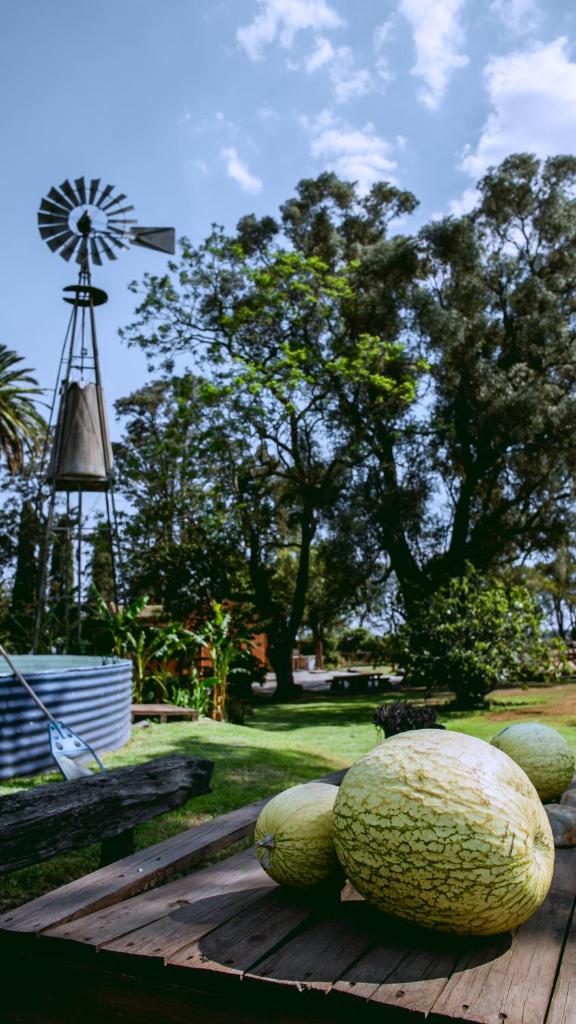 Inti, hospedaje de campo. photo 4