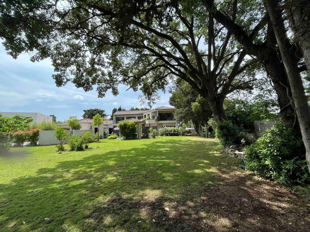 Villa d’exception Montpellier photo 3