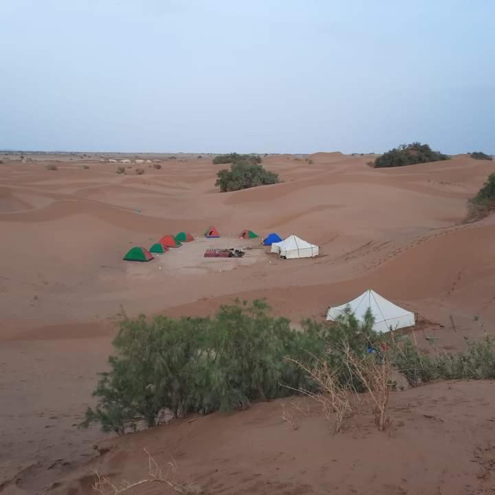 Desert spirit life photo 3