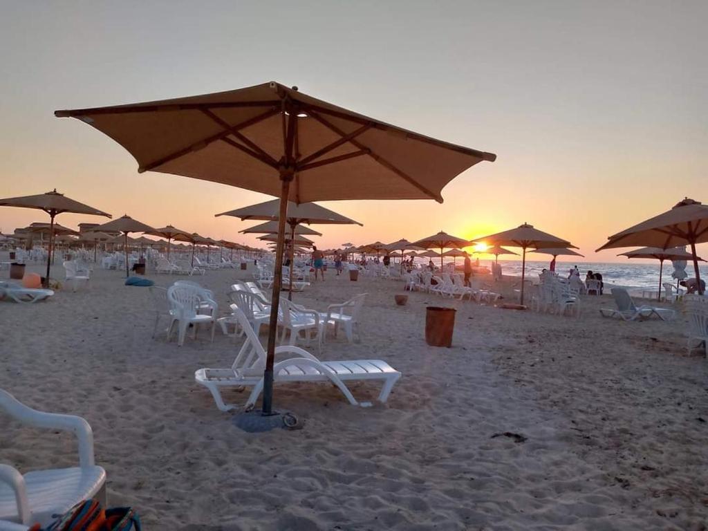 شالية للايجار فى قرية بلومار سيدى عبد الرحمن photo 2