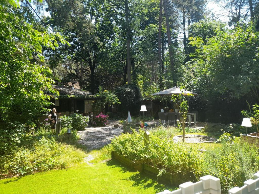 Cozy chalet in a nature reserve with garden photo 3