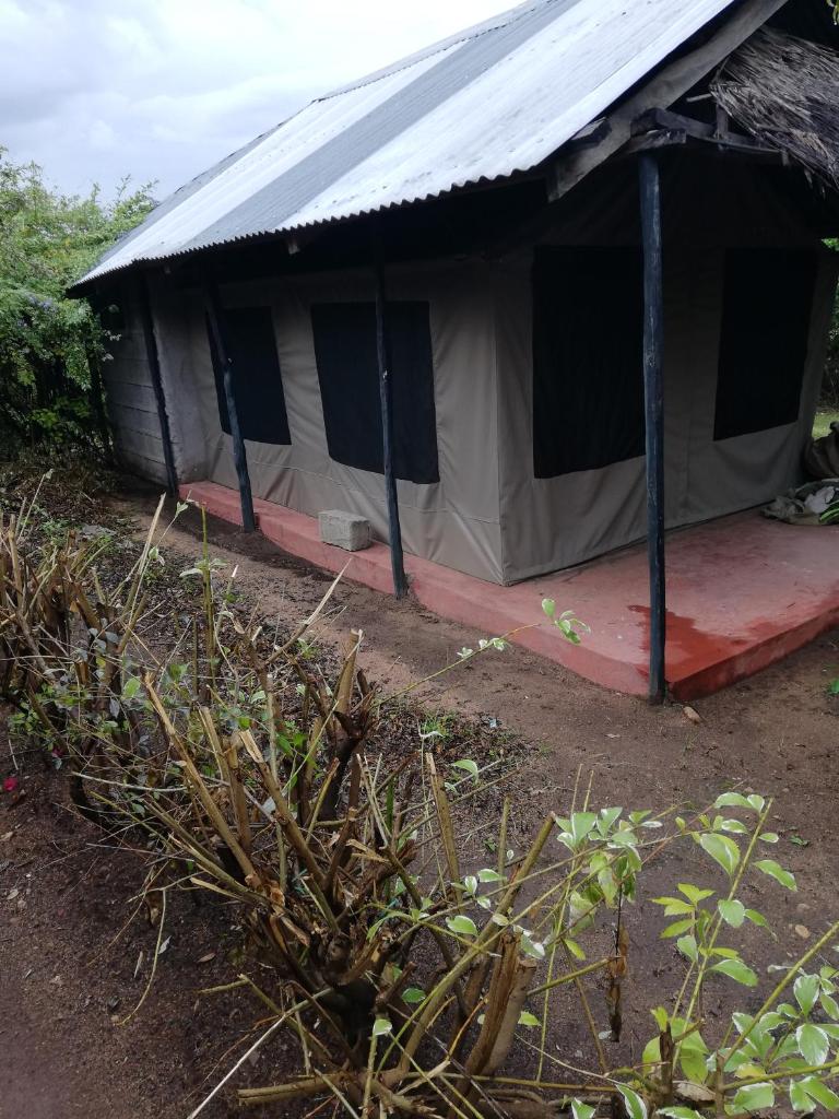 Mara Forest camp