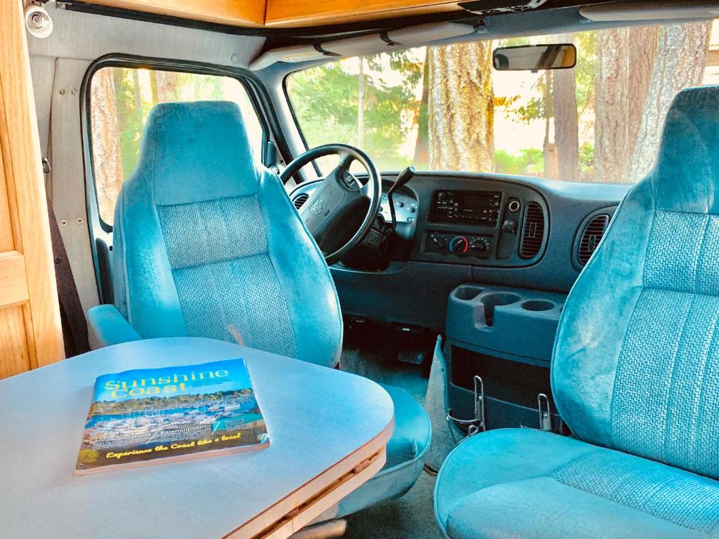 Shady Van in the Woods