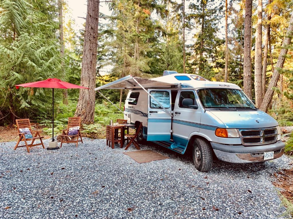 Shady Van in the Woods photo 4