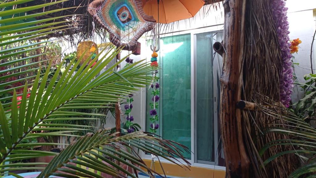 Casa Vainilla Holbox Island photo 2
