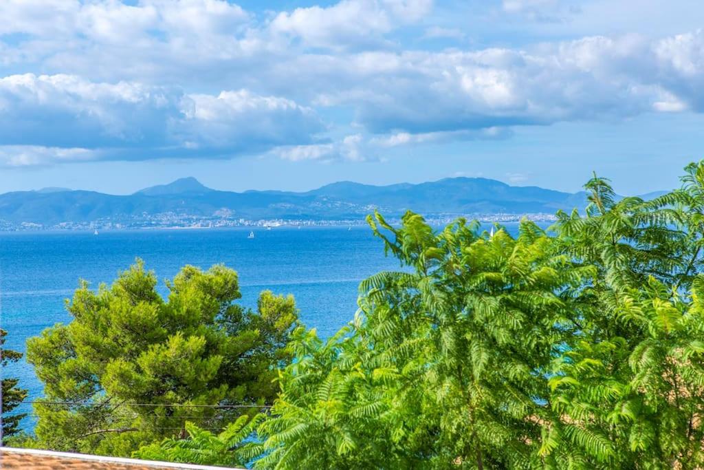 Palma bay views 20m from the sea