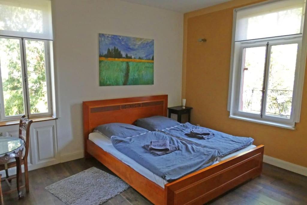 Herrschaftliches Apartment in historischer Villa photo 3
