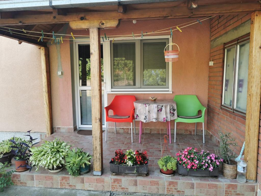 Apartments Domaćinstvo Nikolić photo 2