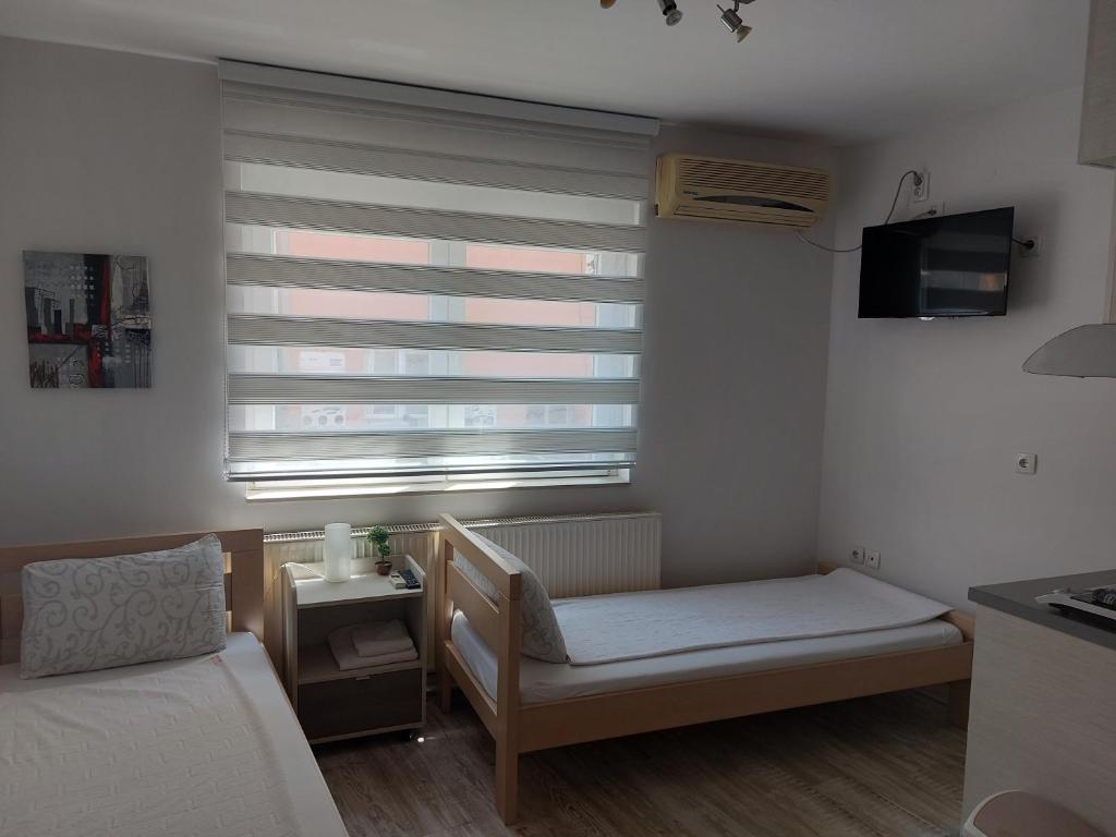 Apartments Sofija photo 1