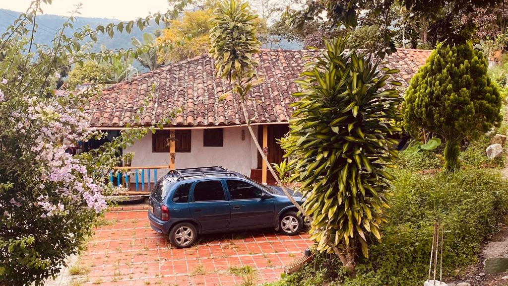 CasaCobos photo 4