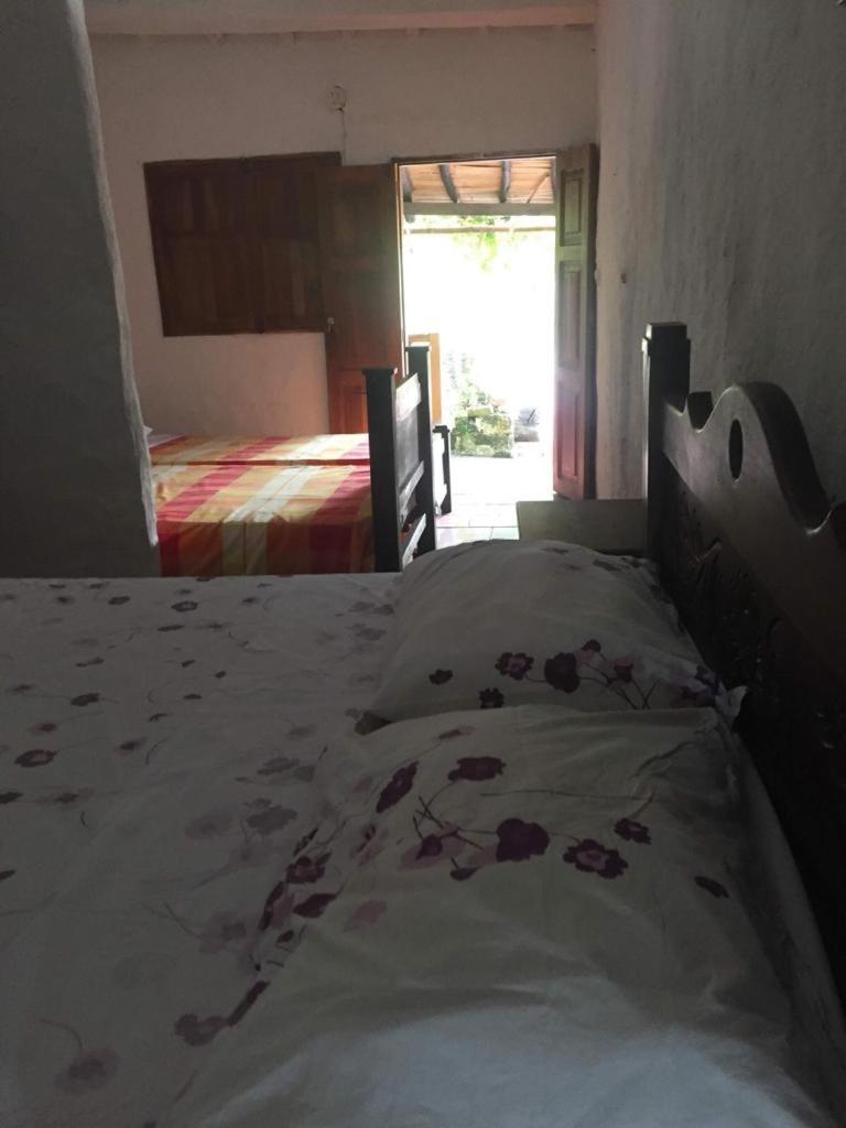 CasaCobos photo 3