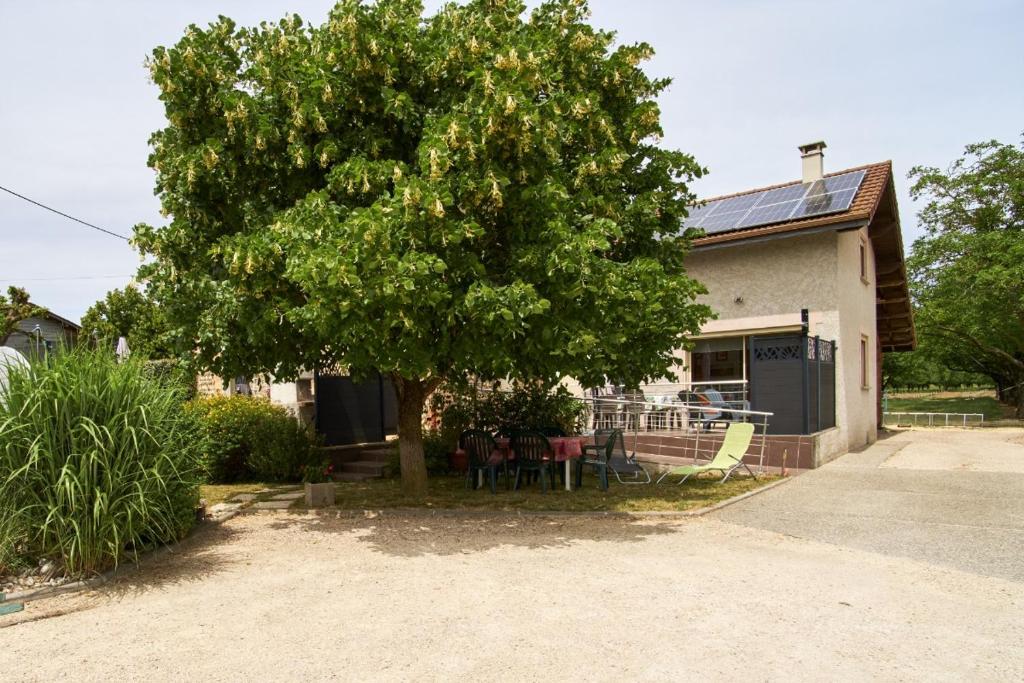 Gite Les Galets Chantants Saint hilaire du rosier photo 2