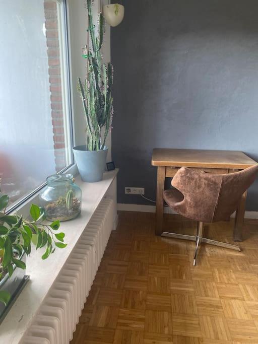Ferienwohnung in Borken photo 1