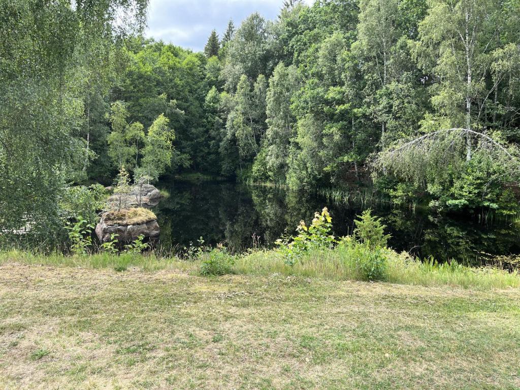Red little cottage located in the forest and next to a small lake photo 1