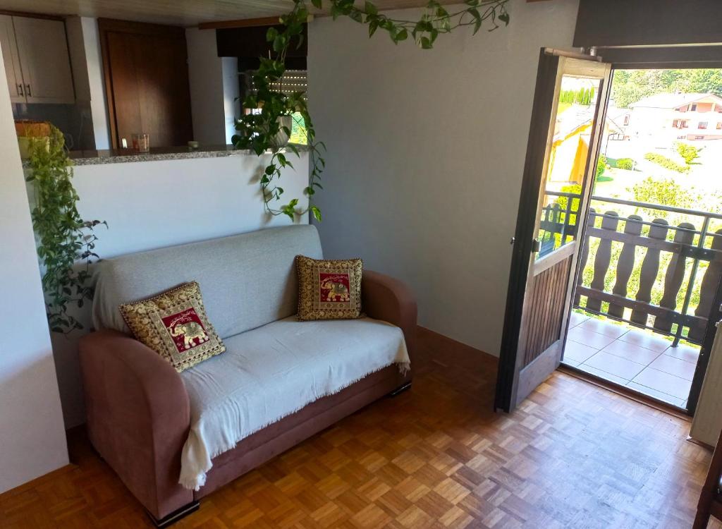 Homestay Zajec photo 3