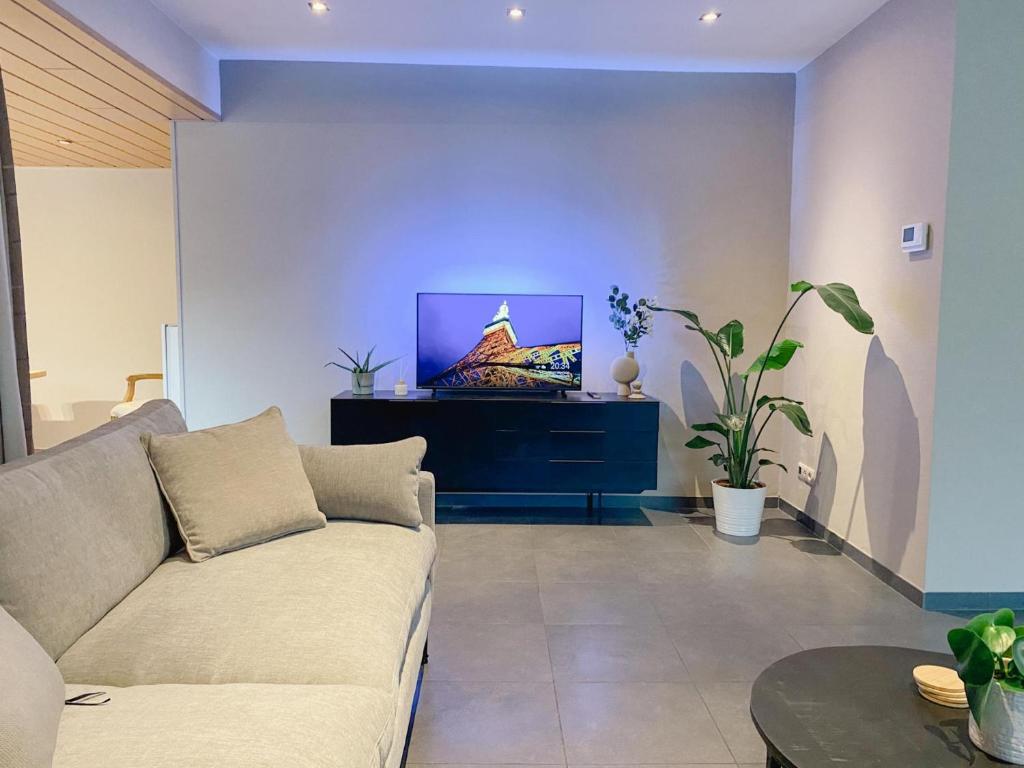 Beautiful Villa with swimming pool in Zonhoven photo 4