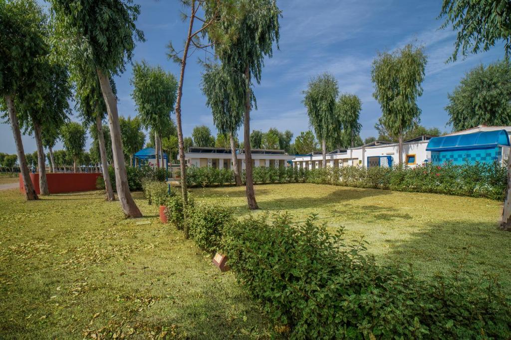 Camping Village Laguna Blu photo 4