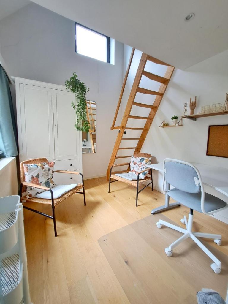 Guest house Tomorrowland photo 1
