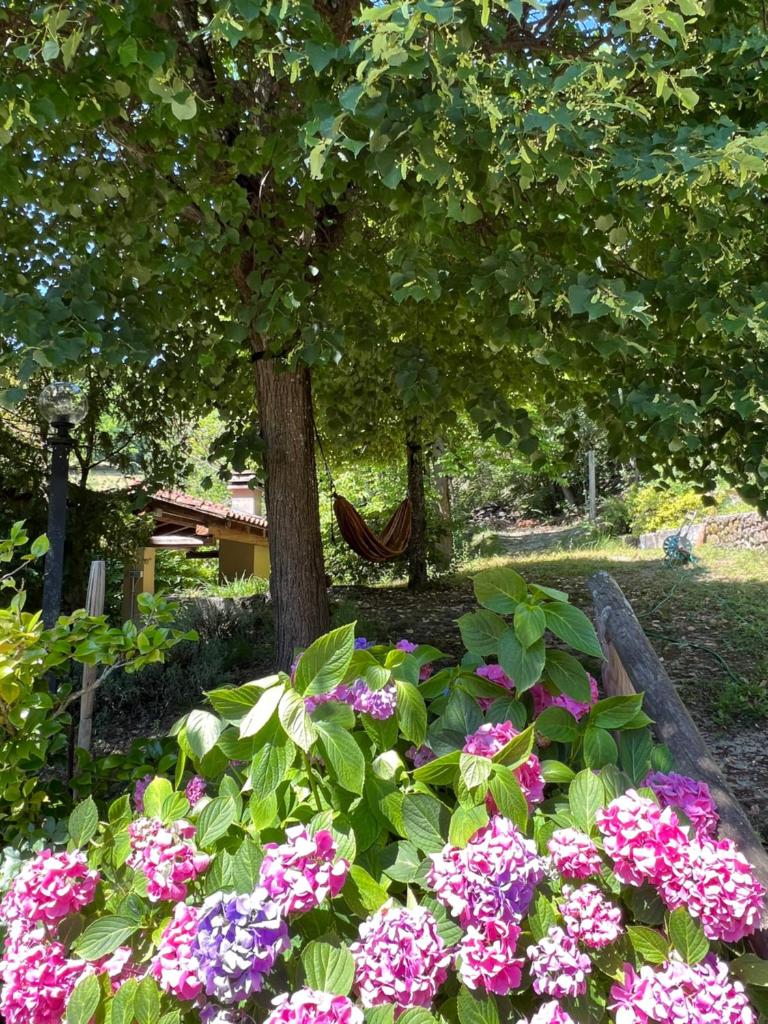 “SPArisio” CASA IN SASSO CON PISCINA E CAMPO DA TENNIS photo 2