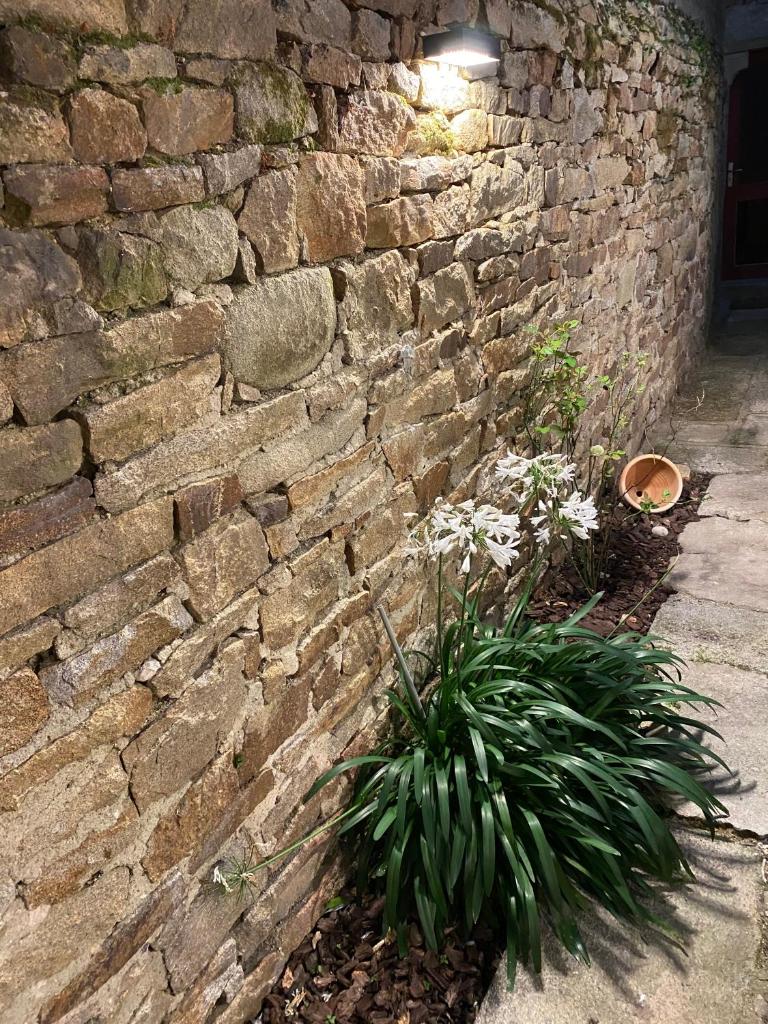 Ty Guenhaël petite maisonnette avec extérieur intra-muros proche port de Vannes photo 4