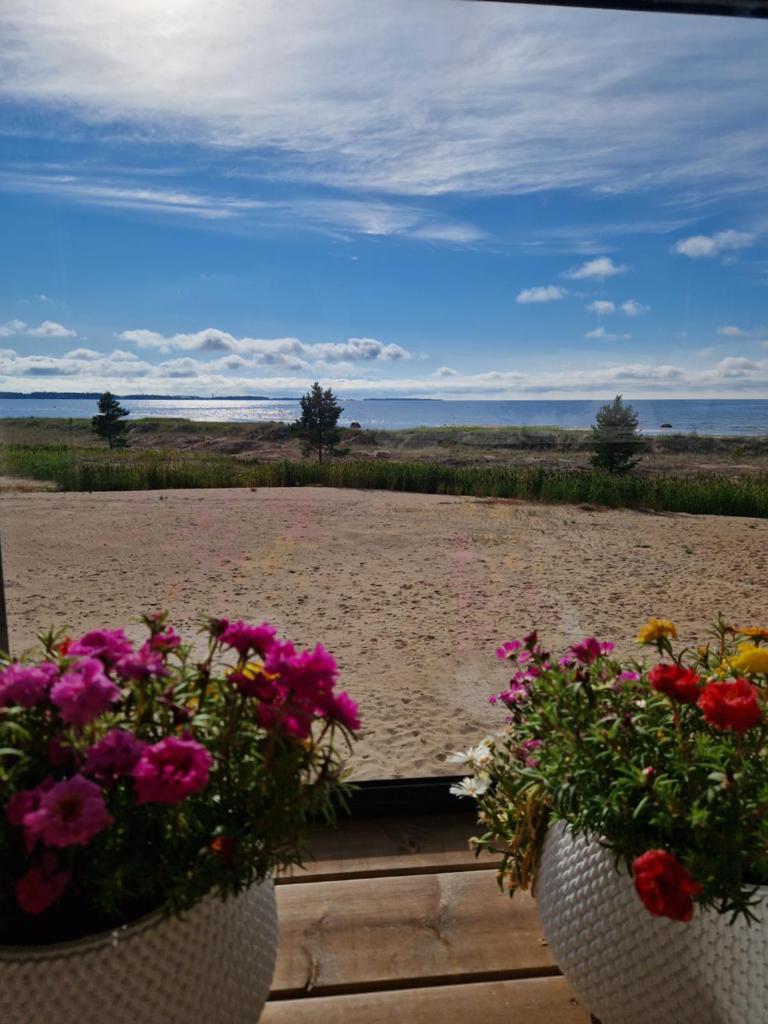 Beach house photo 1