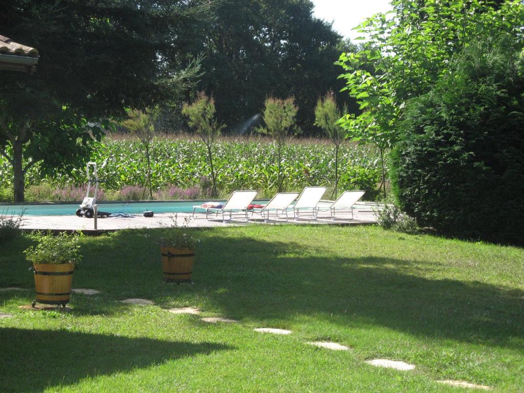 Maison avec piscine proche Contis plage (LANDES) photo 3