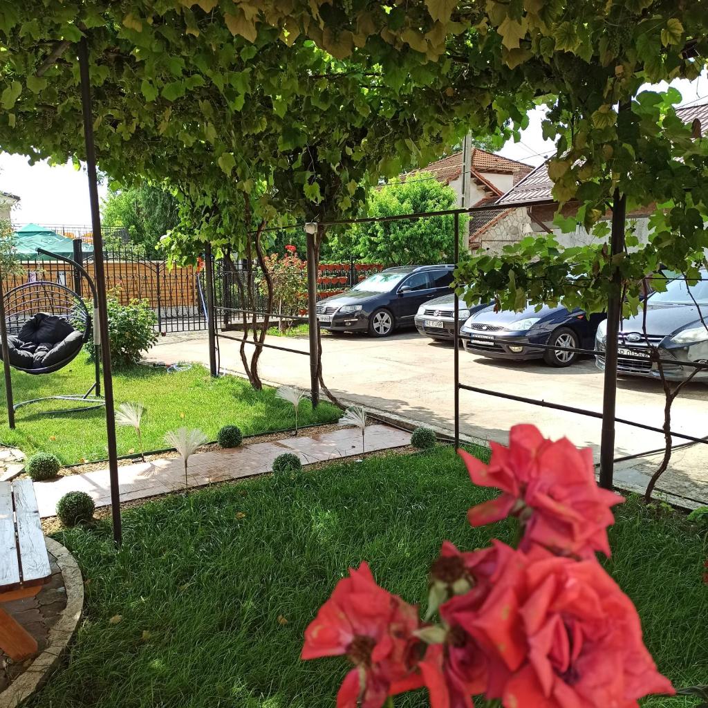 ViiLA Ș'UN SFERT photo 1