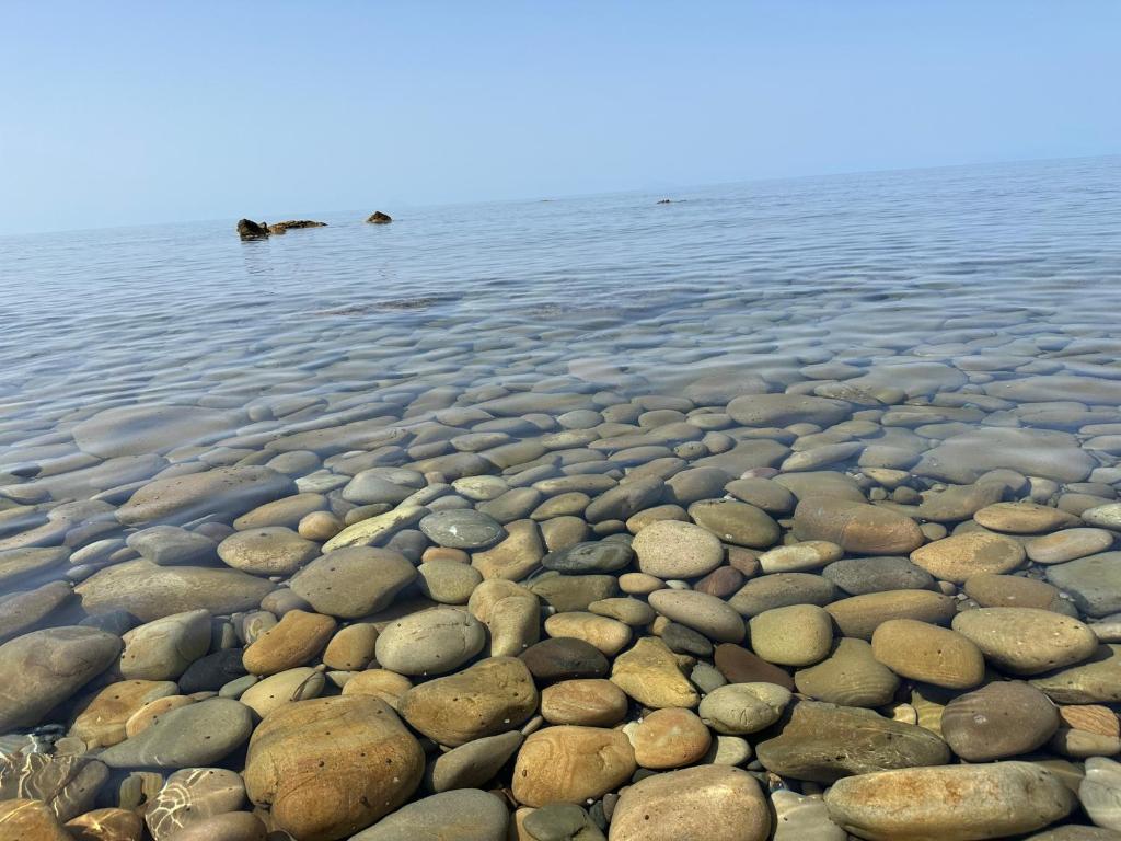 Emmebi appartamenti photo 3