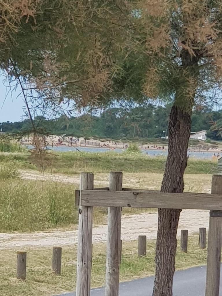 Huitres et mer photo 3