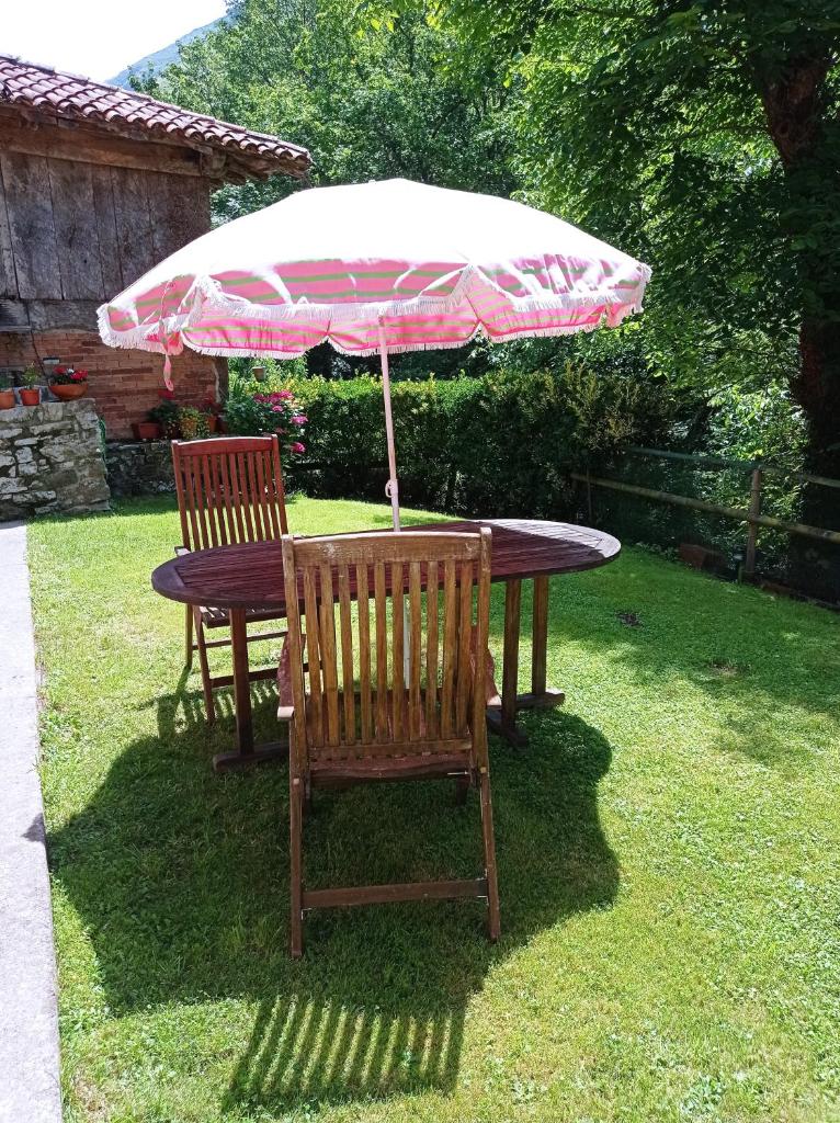 La Casina de Ines photo 3