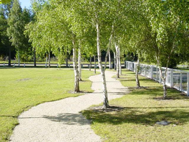 Hanmer Springs Forest Camp Trust photo 1