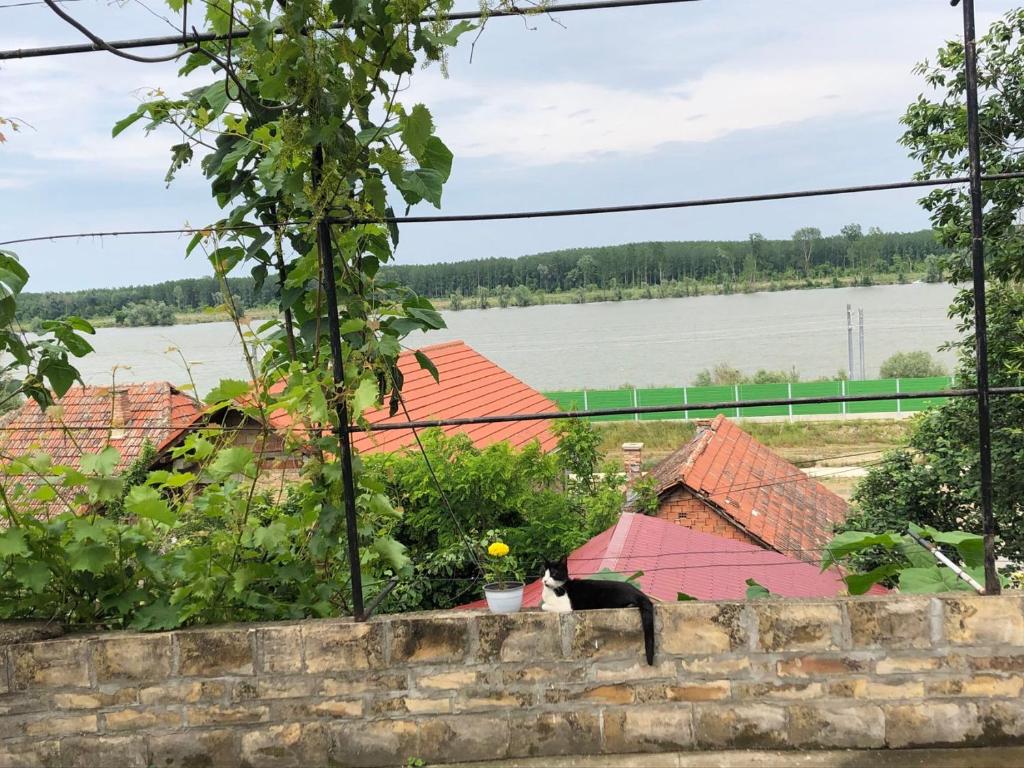 Home No158a Cozy hostel on the Danube photo 4