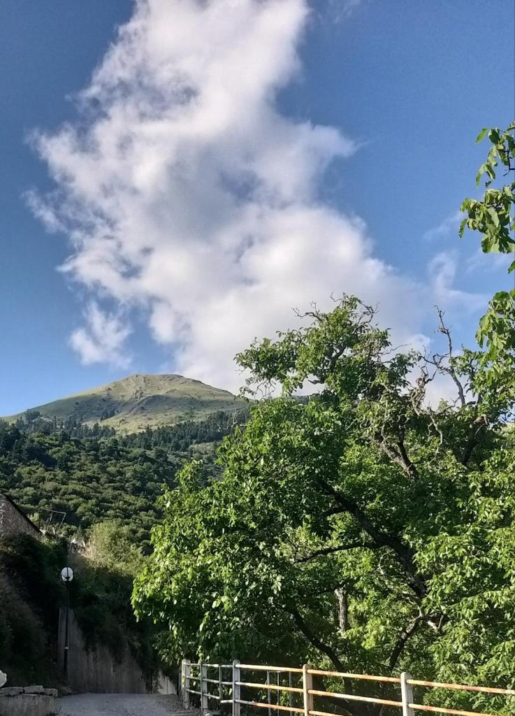 Το Σπίτι Της Ευτυχίας στούντιο photo 4