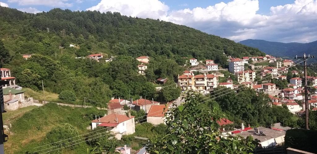 Το Σπίτι Της Ευτυχίας στούντιο photo 3