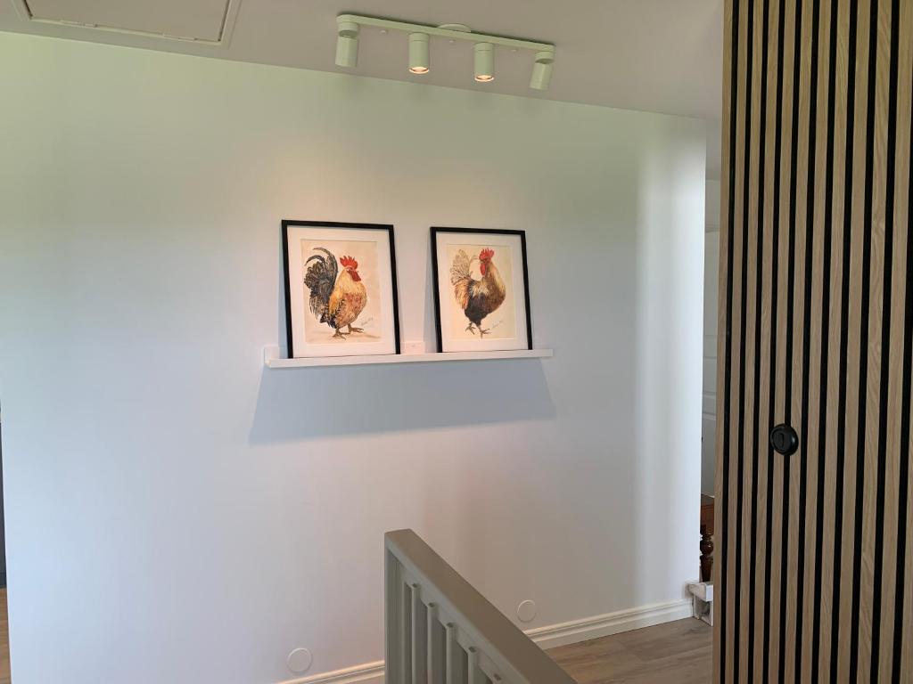 Le Coq Heureux photo 1