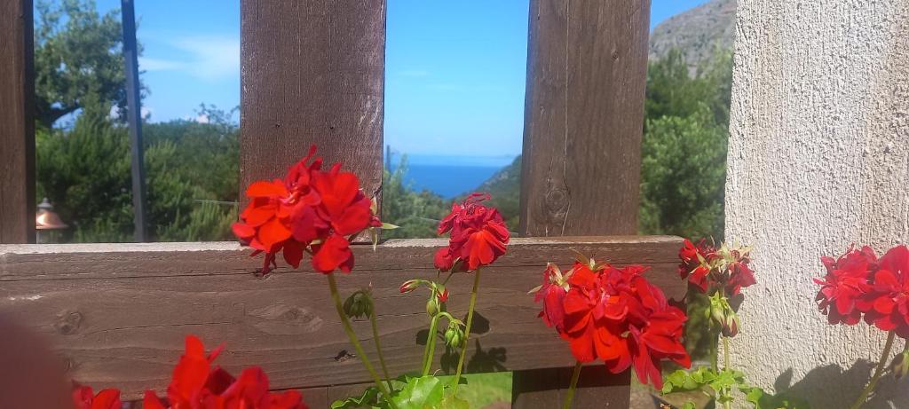 B&B da Maria Teresa - Maratea photo 4