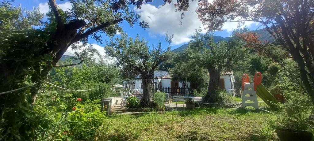 B&B da Maria Teresa - Maratea photo 2